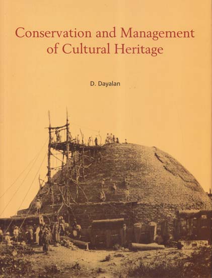 Conservation and Management of Cultural Heritage