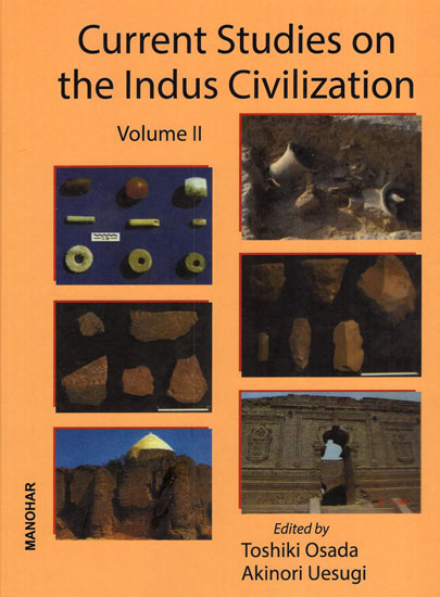 Current Studies on the Indus Civilization