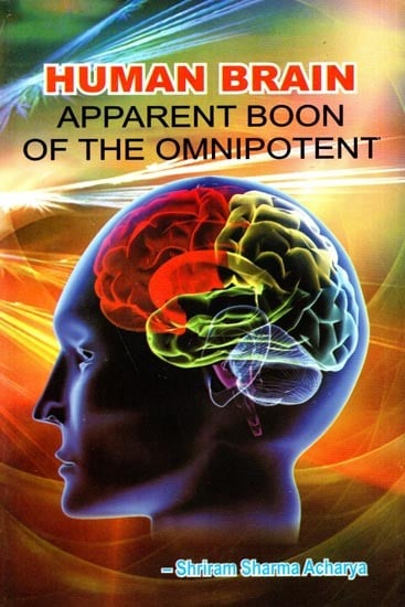 Human Brain- Apparent Boon of The Omnipotent