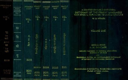 A Comprehensive and Critical Dictionary of The Prakrit Languages with Special Reference to Jain Literature - With Transliteration (Set of 8 Volumes)