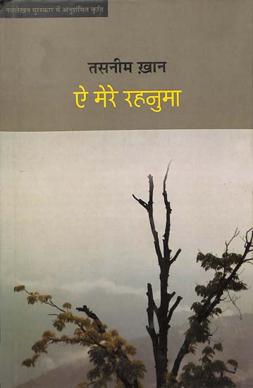 ऐ मेरे रहनुमा: Ae Mere Rehnuma (Novel)