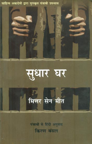 सुधार घर : Sudhar Ghar (Novel)