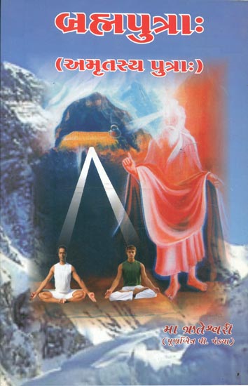 બ્રહ્મપુત્રા: Brahma Putra -Spiritual Novel (Gujarati)