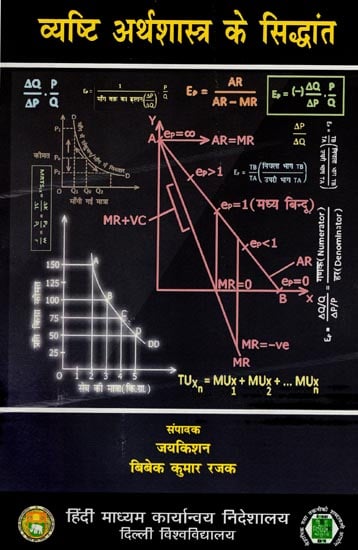 व्यष्टि अर्थशास्त्र के सिद्धांत: Theory of Macro Economics