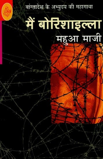 मैं बोरिशाइल्ला : Mein Borishailla (A Novel)