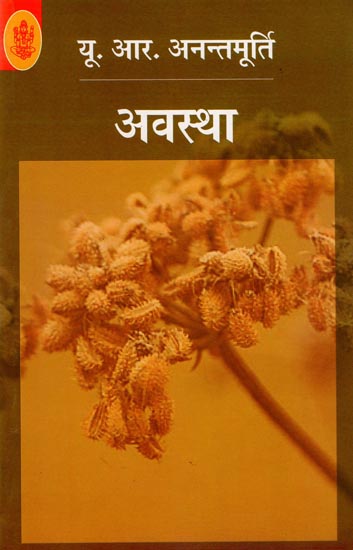 अवस्था: Awastha (A Novel)