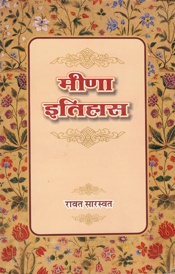 मीणा इतिहास: History of Meena