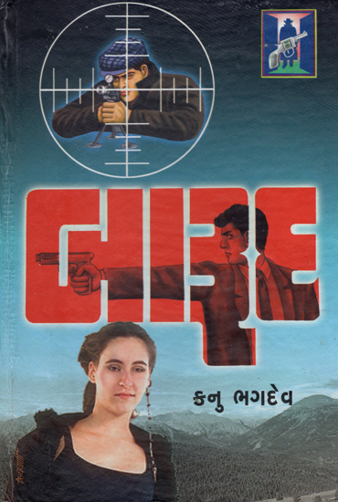 Barud - Novel (Gujarati)