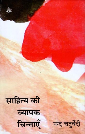 साहित्य की व्यापक चिंताएँ : Wider Concerns of Literature