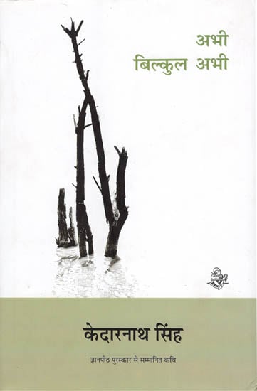 अभी बिलकुल अभी: Now Right Now (Collection of Hindi Poems)