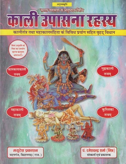 काली उपासना रहस्य: Secrets of Kali Worship