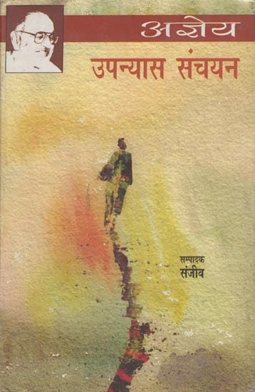 उपन्यास संचयन: Upanyas Sanchayan