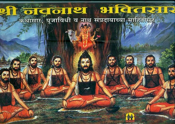 श्री नवनाथ भक्तिसार: Shri Navanatha Bhakti Sara (Marathi)