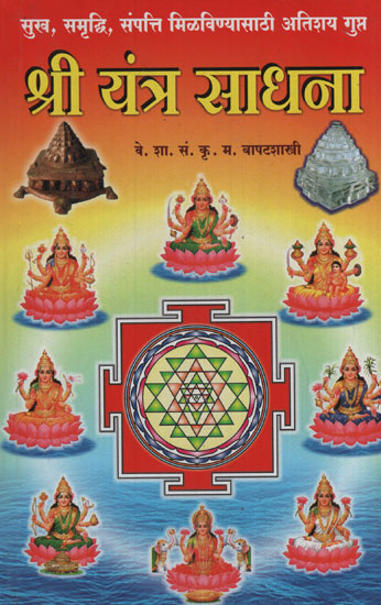 श्री यंत्र साधना - Shri Yantra Sadhana (Marathi)