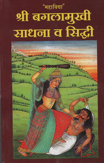 श्री बगलामुखी साधना व सिद्धी - Sri Bhagalmukhi Sadhana and Siddhi (Marathi)