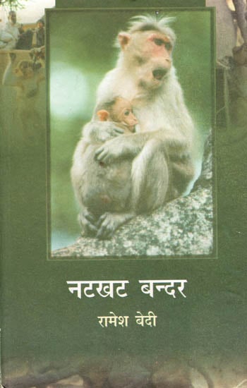 नटखट बन्दर :  Naughty Monkey