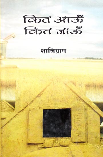 कित आऊँ कित जाऊँ: How Much Should I Go (A Novel)