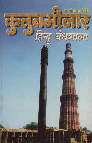 कुतुबमीनार हिन्दू वैधशाला : Qutub Minar Hindu Legislature