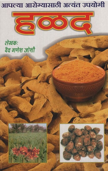 हळद - Turmeric (Marathi)