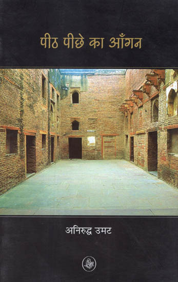 पीठ पीछे का आँगन: Peeth Pichhe Ka Aangan (A Novel)