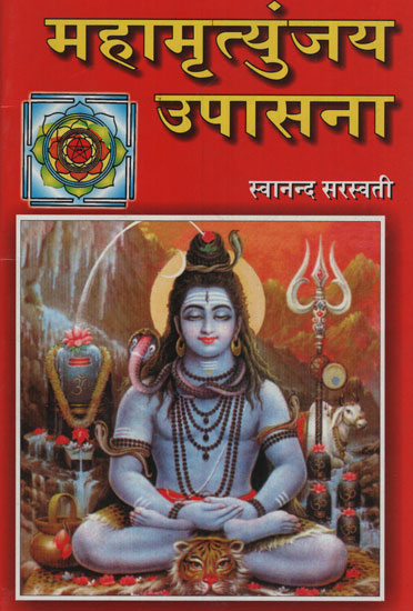 महामृत्युंजय उपासना - Mahamrityunjay Worship (Marathi)