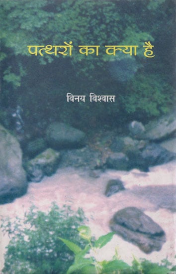 पत्थरों का क्या है: What About Stones (Poems)