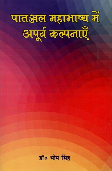 पातञ्जल महाभाष्य में अपूर्व कल्पनाएँ: Wondrous Imaginations in Patanjal Mahabhashya