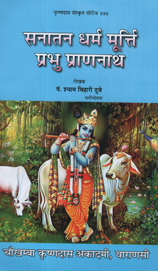 सनातन धर्म मूर्त्ति प्रभू प्राणनाथ- Sanatan Dharma Idol-  Prabhu Prannath