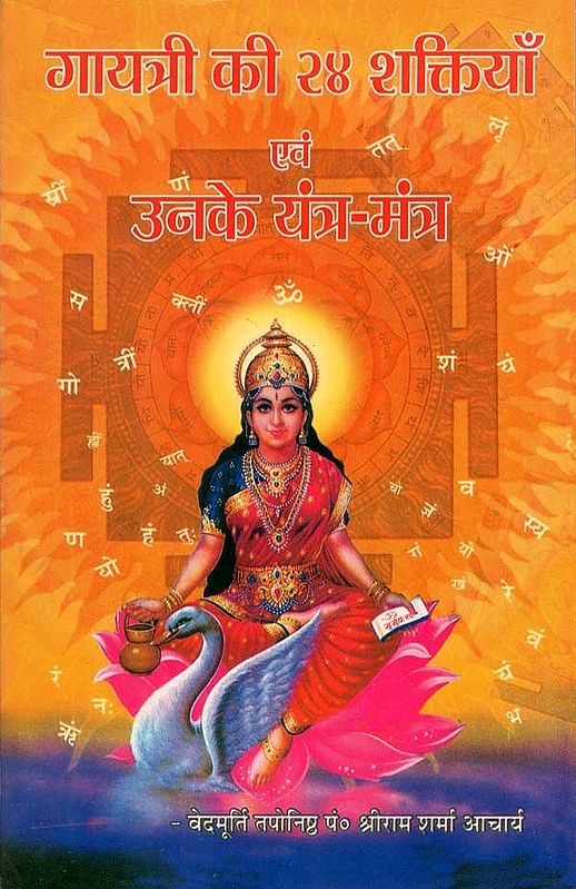 गायत्री की चौबीस शक्तियाँ एवं उनके यन्त्र - मंत्र :  Gayatri's Twenty Four Powers and Their Yantras - Mantras