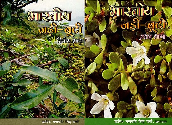 भारतीय जड़ी बूटी - Indian Herbs (Set of 2 Volumes)