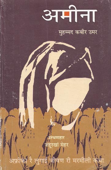 अमीना: Amina (Novel)