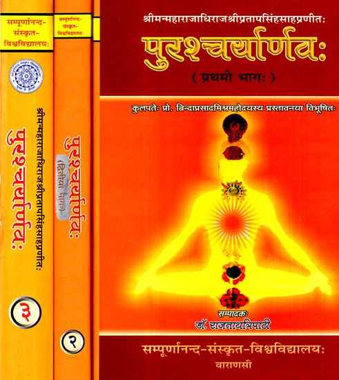 पुरश्चर्यार्णवः- Purshcharyarnava (Set of 3 Volumes)