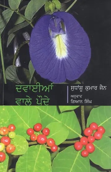 Dwaniya Wale Paudhe (Punjabi)