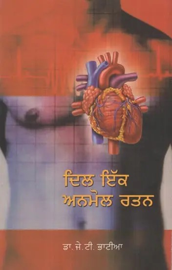 Dil Ek Anmol Ratan (Punjabi)