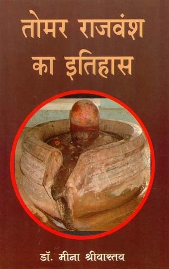 तोमर राजवंश का इतिहास - History of Tomar Dynasty