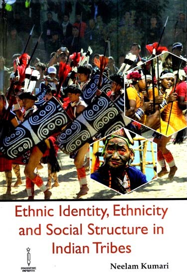 Ethnic Identity, Ethnicity and Social Structure in Indian Tribes