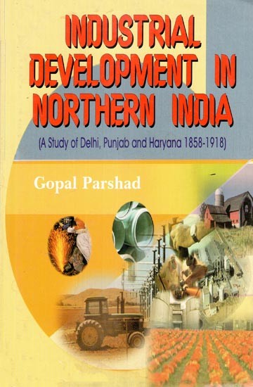 Industrial Development in Northern India  (A Study of Delhi, Punjab and Haryana 1858-1918)