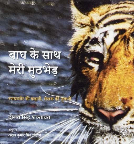 बाघ के साथ मेरी मुठभेड़ (रणथम्भौर की कहानी, लेखक की जुबानी)- My Encounter with the Tiger (The Story of Ranthambore, by the Author)