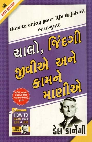 ચાલો જિંદગી જીવીએ અને કામને માણીએ: Chalo Jindagi Jiviye ane Kamne Maniye (Gujarati)