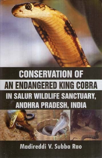 Conservation of An Endangered King Cobra In Salur Wildlife Sanctuary