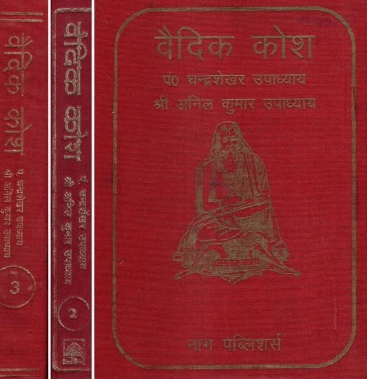 वैदिक कोश- Vedic Kosha (Set of 3 Volumes)