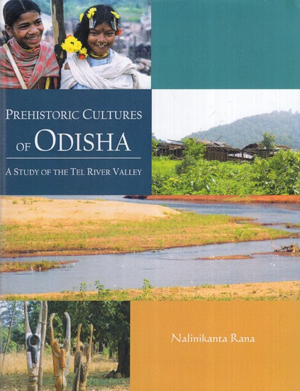 Prehistoric Cultures of Odisha: A Study of the Tel River Valley