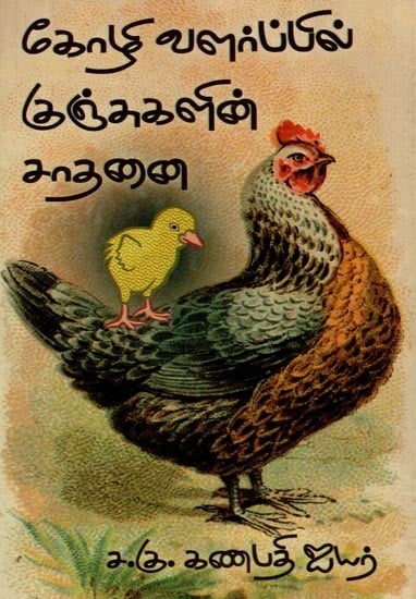 கோழி வளர்ப்பில் குஞ்சுகளின் சாதனை- Achievement of Chicks in Poultry Farming (Tamil)