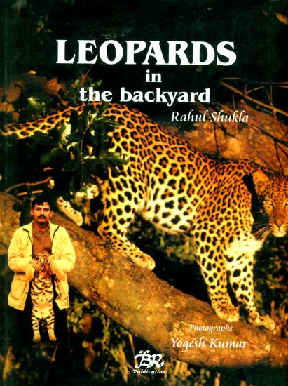 Leopards in the Backyard