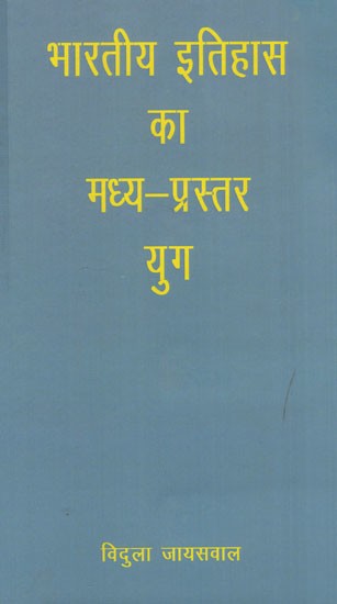 भारतीय इतिहास का मध्य- प्रस्तर युग: Middle Stone Age of Indian History