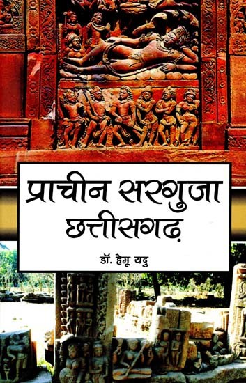 प्राचीन सरगुजा: छत्तीसगढ़- Ancient Surguja: Chhattisgarh