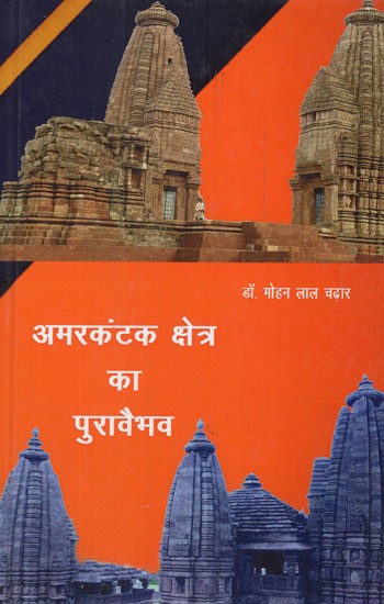 अमरकंटक क्षेत्र का पुरावैभव- Antiquities of Amarkantak Region