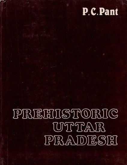 Prehistoric Uttar Pradesh (A Study of Old Stone Age) (An Old and Rare Book)