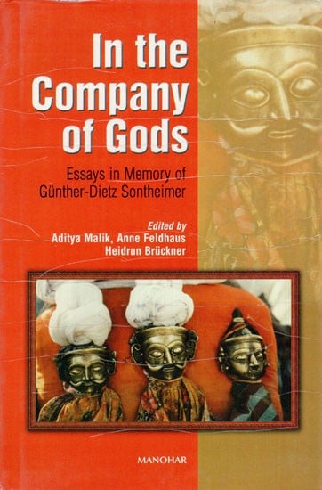 In the Company of Gods (Essays in Memory of Günther-Dietz Sontheimer)