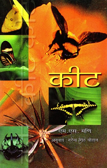 कीट- Insect